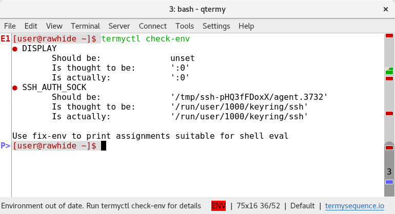 Picture of terminal window showing environment warning and check-env output